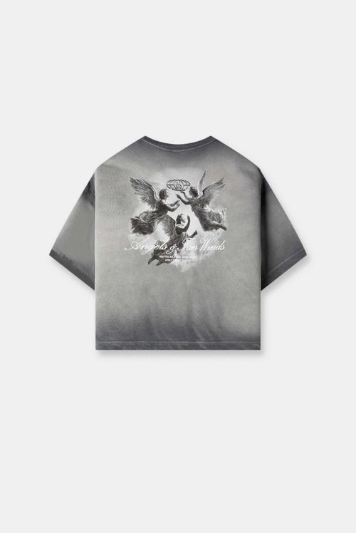 Camiseta Oversize Gris Lavandería