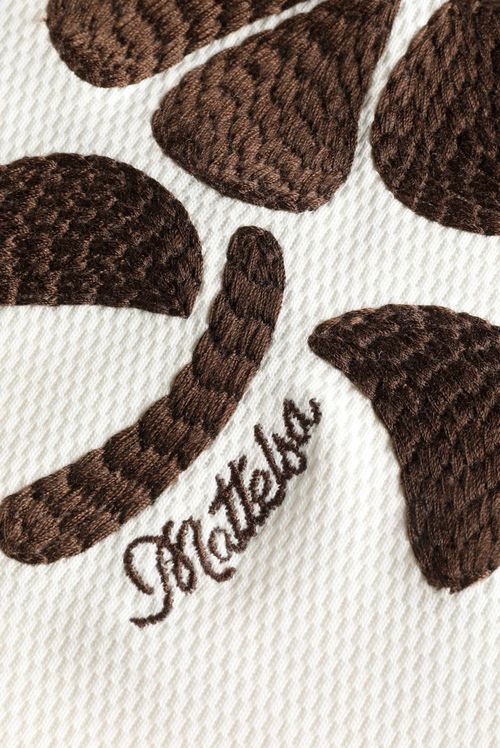 Camisa Manga Corta Marfil Ilustración