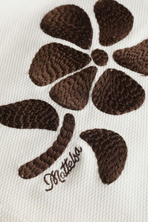 Shorts Marfil Ilustración